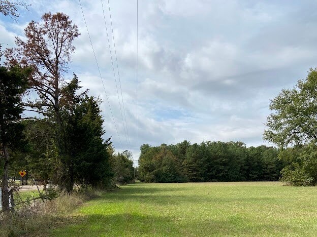 More Photos Of 0 Hwy 41S, Foreman Land For Sale