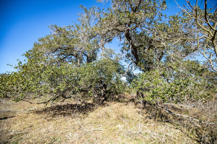 More Photos Of 6498 Highway 35 North, Rockport Land For Sale