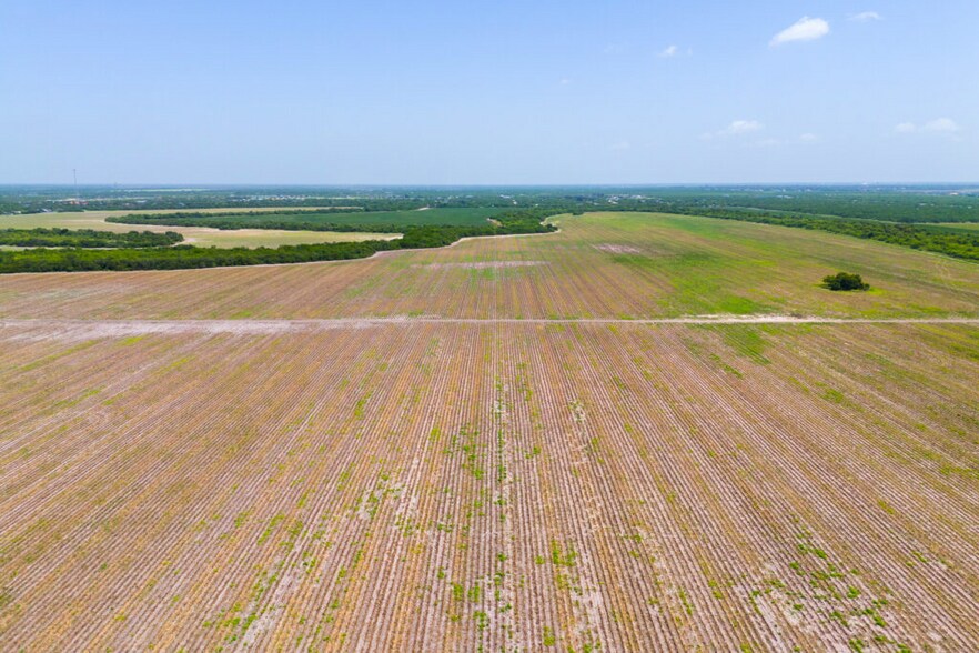 More Photos Of FM 1421 Rd, Brownsville Land For Sale