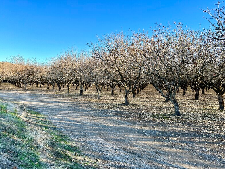 More Photos Of 9121 Pass Rd Rd, Sutter Land For Sale