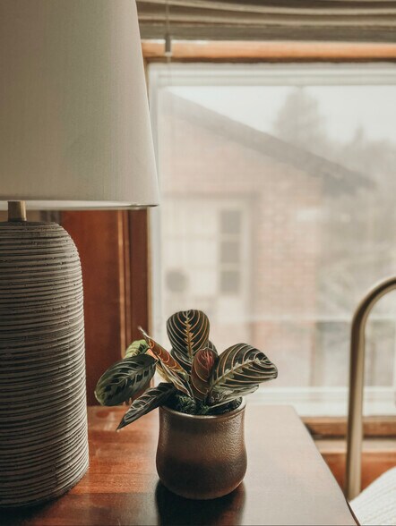 More Photos Of 139 SW I St, Grants Pass Specialty For Sale