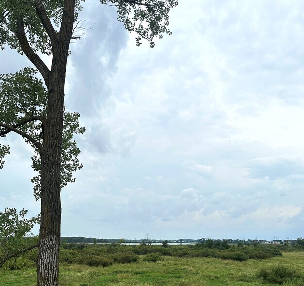 More Photos Of 4012 Terminal Dr, McFarland Land For Lease