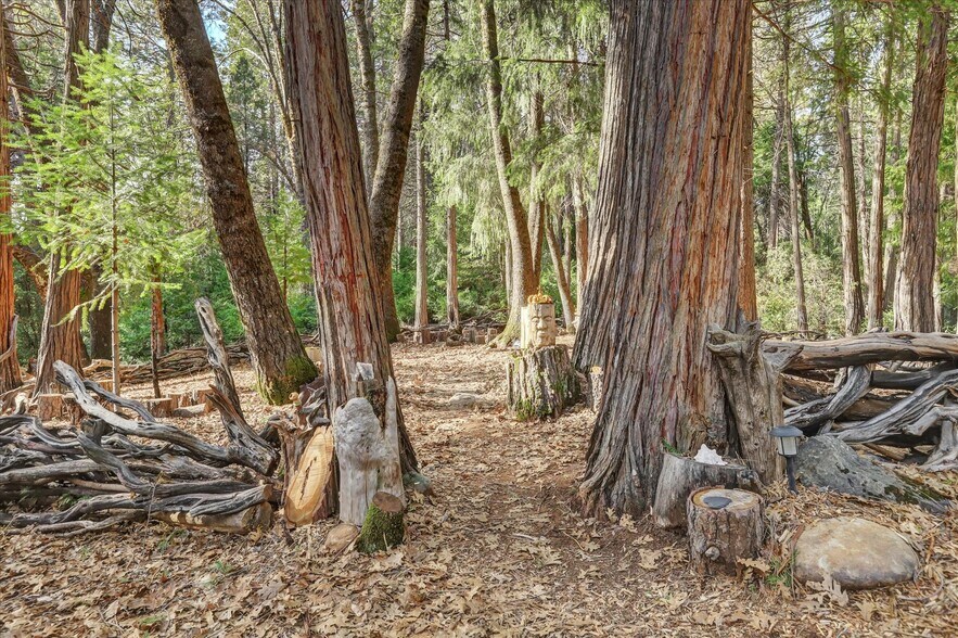 More Photos Of 14724 N Bloomfield Rd, Nevada City Flex For Sale