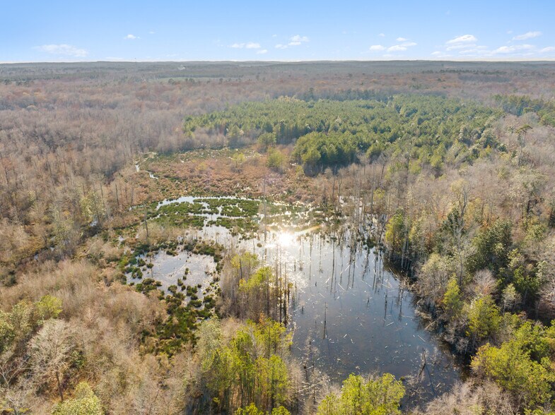 More Photos Of 7471 Hwy 155, Saline Land For Sale
