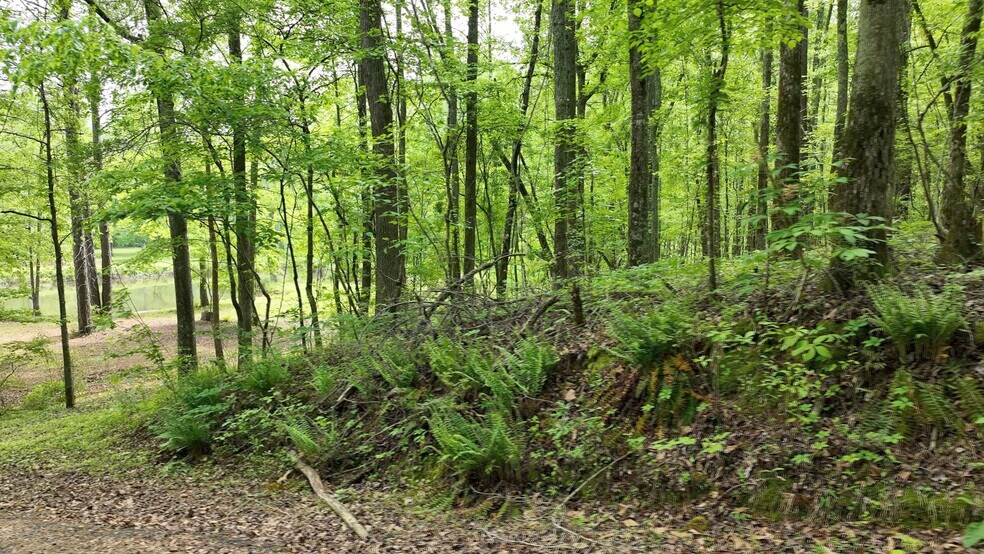 More Photos Of 485 Polk Rd, Moreland Land For Sale