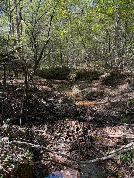More Photos Of Erastus Church rd, Commerce Land For Sale