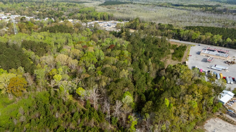More Photos Of 1951 Old Edisto Rd, Orangeburg Land For Sale