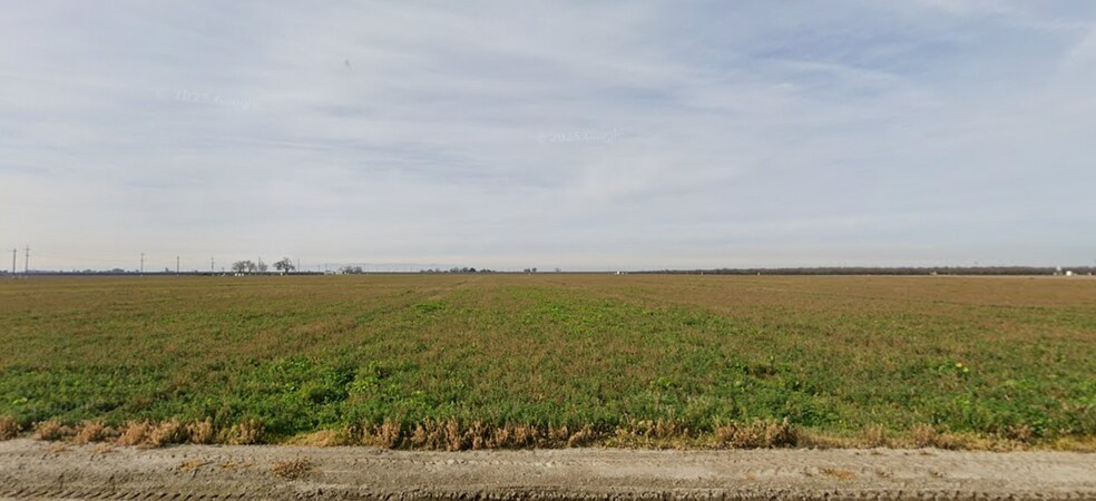 Primary Photo Of W Harlan ave @ S Fruit Ave, Riverdale Land For Sale