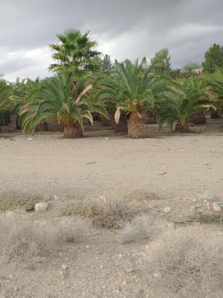 More Photos Of 2941 S Franhi Rd, Littlefield Land For Sale