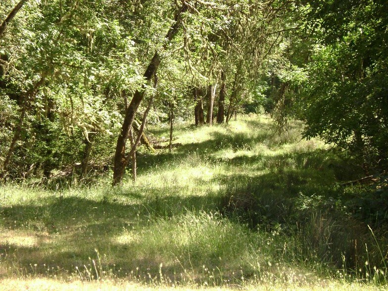 More Photos Of Newton Creek Rd, Roseburg Land For Sale