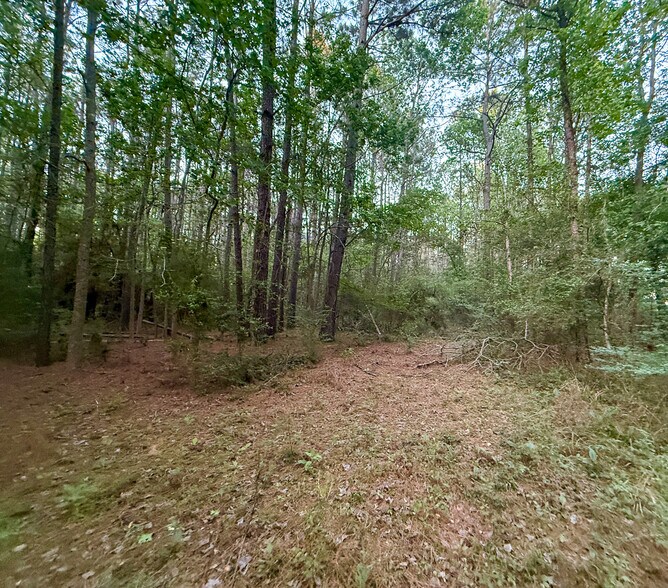 More Photos Of State Highway 75 South, Huntsville Land For Sale