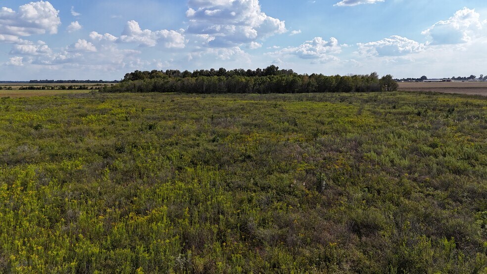 More Photos Of 3306 State Farm Rd, Tucker Land For Sale