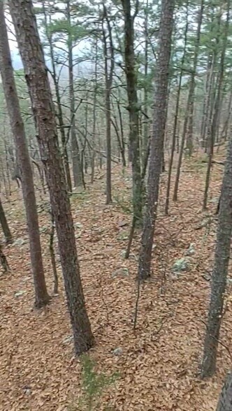 More Photos Of 27546 Reservation Rd, Daisy Land For Sale
