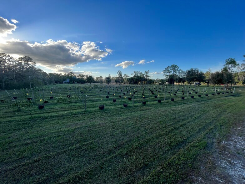 More Photos Of 20948 Corkscrew Rd, Estero Winery Vineyard For Sale