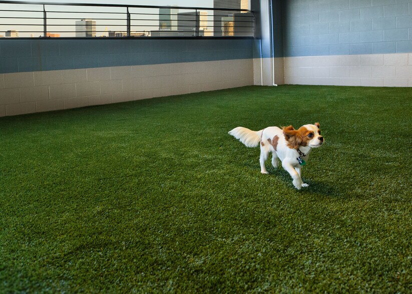 More Photos Of 2929 Weslayan St, Houston Apartments For Lease