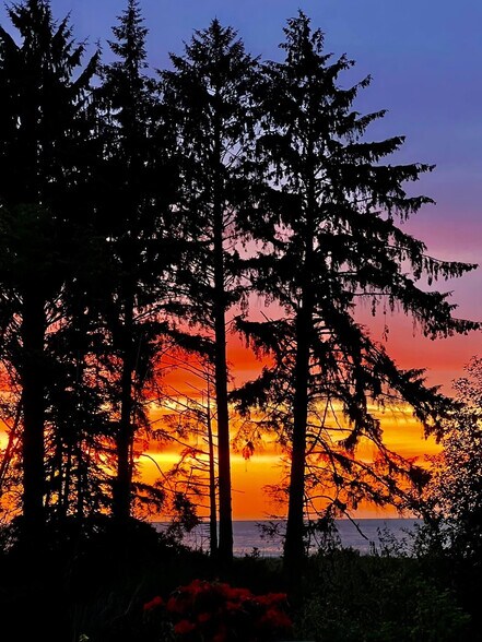 More Photos Of 16672 Frontier st, Clallam Bay Specialty For Sale