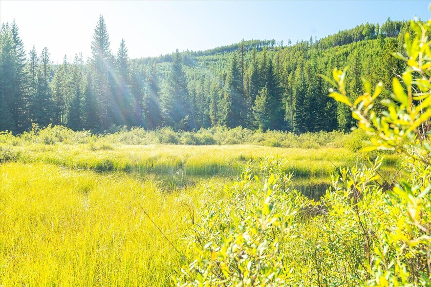 More Photos Of Nhn Logan Creek Road, Kila Land For Sale