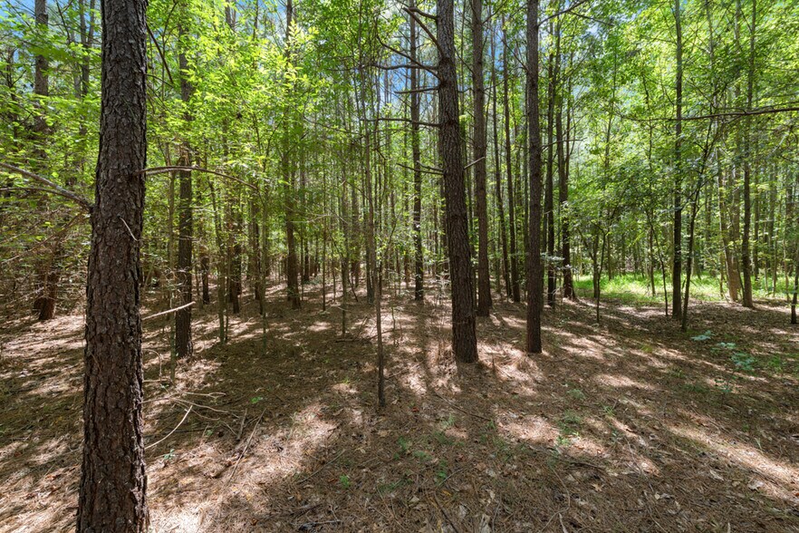 More Photos Of 4110 Wilson Town rd, Oxford Land For Sale