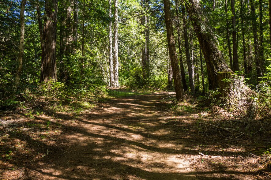 More Photos Of 16401 South Highway 1, Manchester Land For Sale