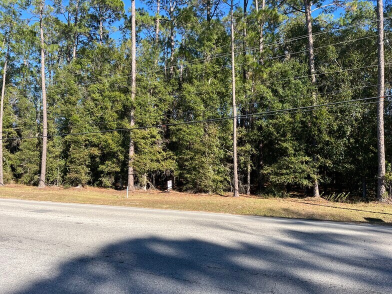 More Photos Of 0 Baxley Rd, Middleburg Land For Sale