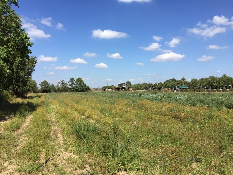 More Photos Of 4100 Fm-2920, Spring Land For Sale