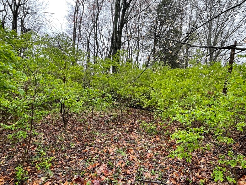 More Photos Of 1800 State Road 46, Terre Haute Land For Sale