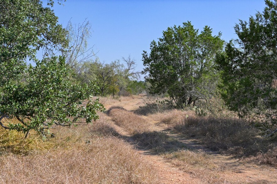 More Photos Of 1033 Flying X Rd, Spicewood Land For Sale