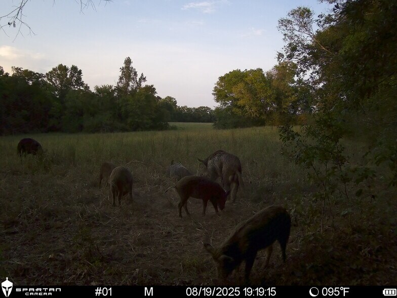 More Photos Of County Road 3311, Omaha Land For Sale