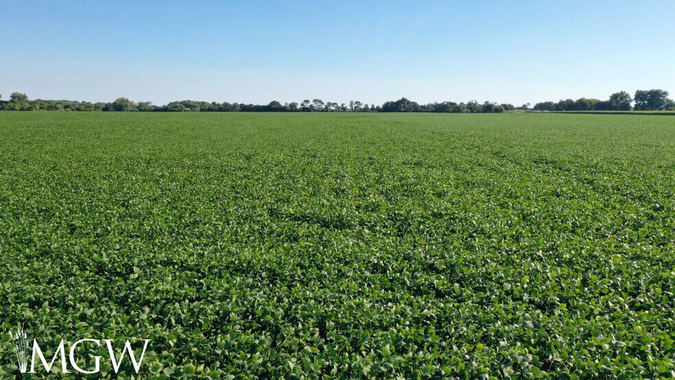 More Photos Of Snyder Road, Virgil Land For Lease