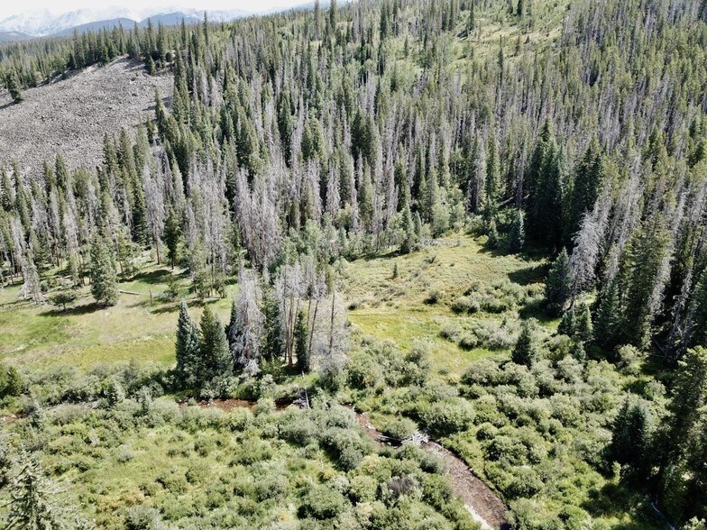 More Photos Of Tbd Ski Idlewild Rd Tract G, Winter Park Land For Sale