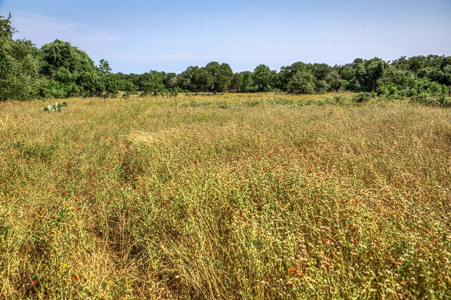 More Photos Of TBD (+/-88 Acres) Smith Rd, Bastrop Land For Sale