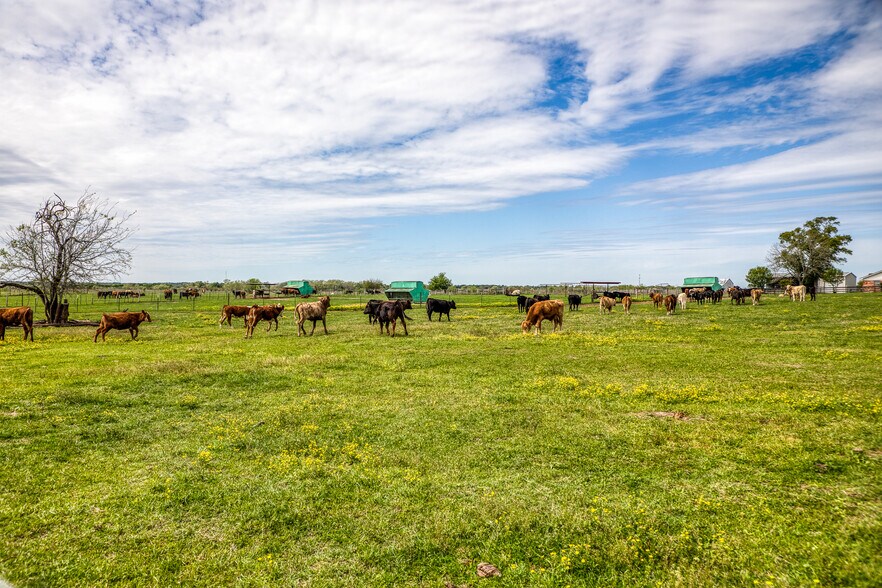 More Photos Of 20751 FM 1155 E, Washington Land For Sale