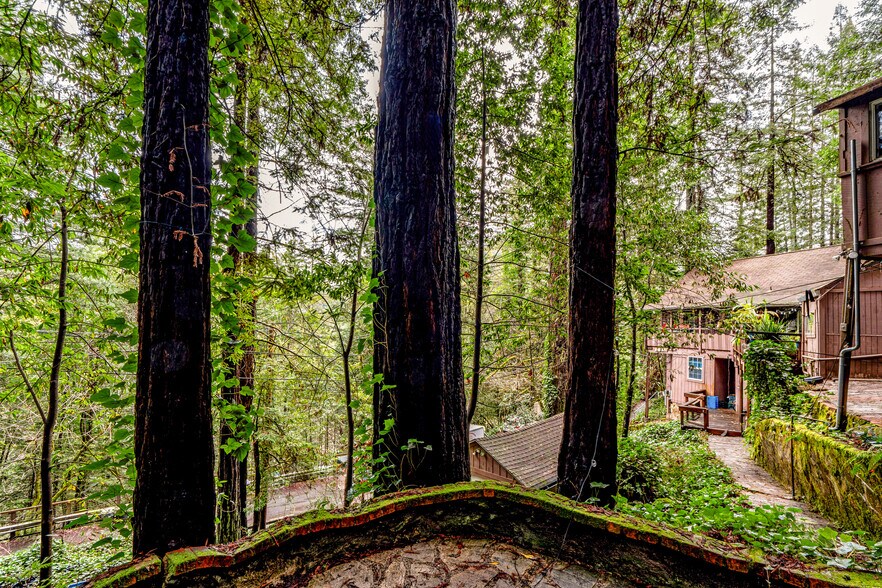 More Photos Of 17910 Old Monte Rio Rd, Guerneville Apartments For Sale