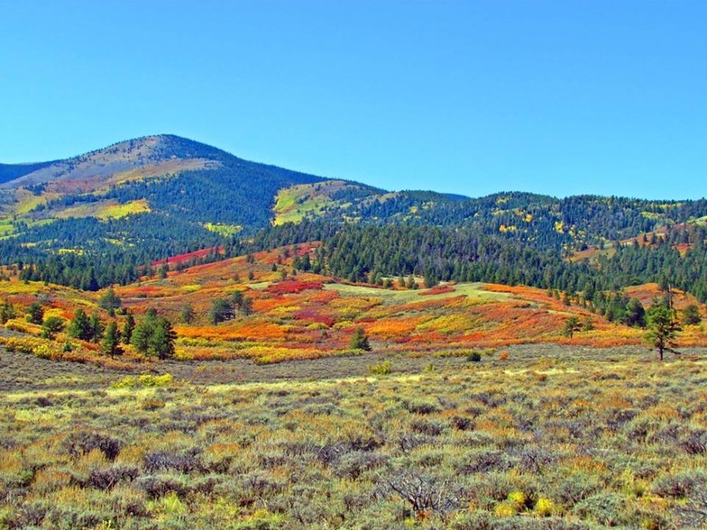 Primary Photo Of Vacant Highway 285, Villa Grove Land For Sale