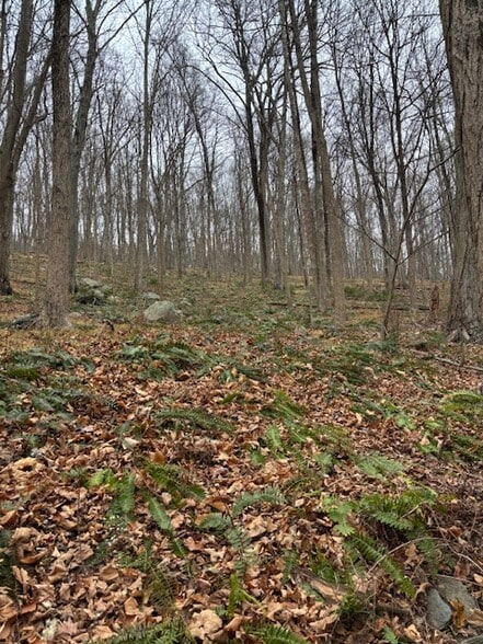 More Photos Of 88 Wiccopee Rd, Putnam Valley Land For Sale