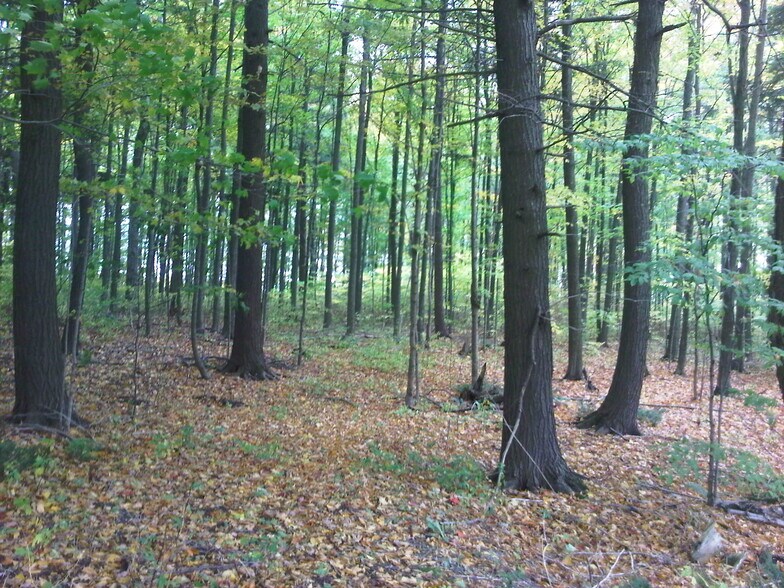 More Photos Of 8949 Wellington 22, Erin Land For Sale