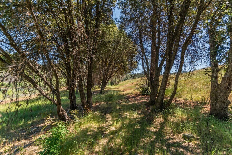 More Photos Of 200 Dutch Creek Rd, Junction City Land For Sale
