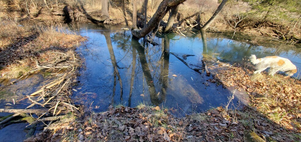 More Photos Of 4775 S 50th St, Aldrich Land For Sale