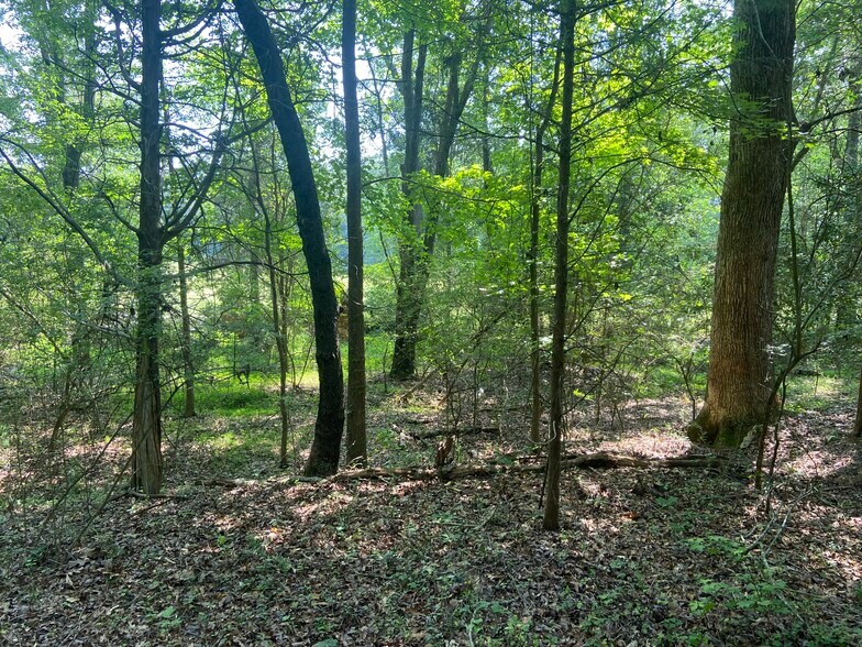 More Photos Of Terry Shop Rd, Fountain Inn Land For Sale