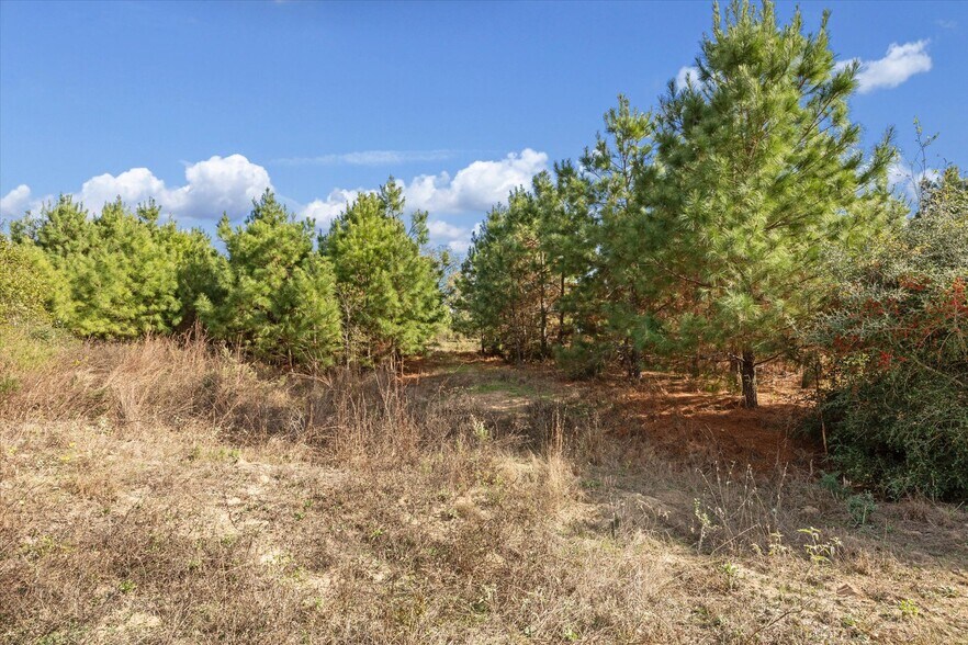 More Photos Of 0 Mack Washington Ln. Ln, Hempstead Land For Sale