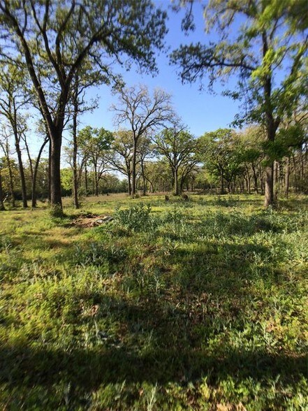 More Photos Of 24936 HIGHWAY 159, Hempstead Land For Sale