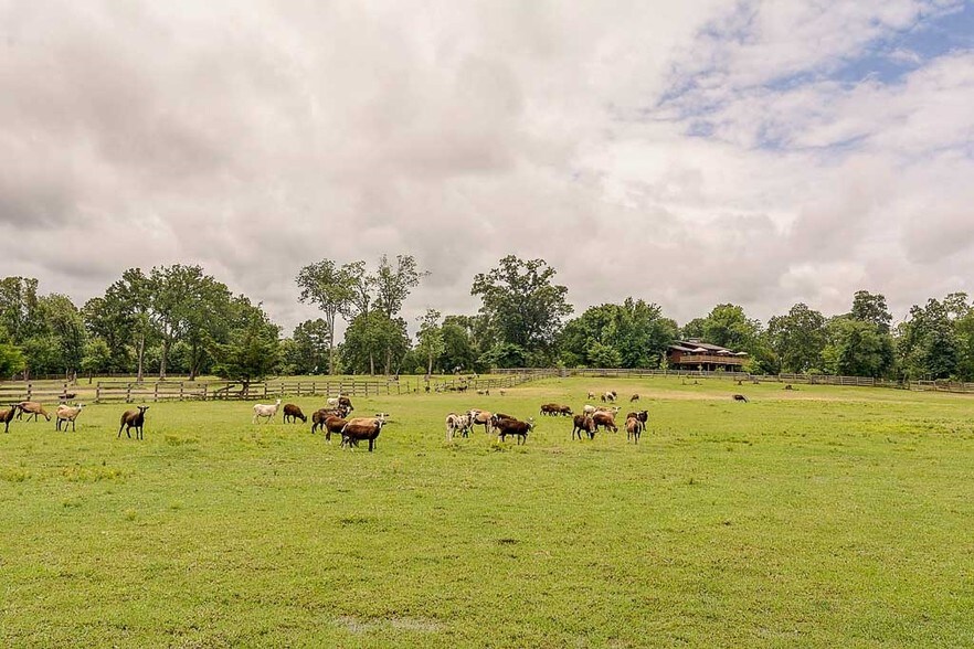 More Photos Of 26298 Hwy 105 W, Montgomery Land For Sale