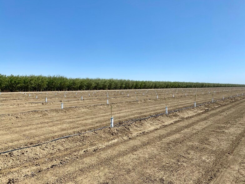 More Photos Of Oakland @ Lassen Avenue, Five Points Land For Sale