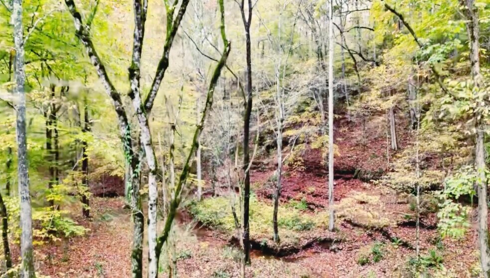 More Photos Of 700 New Power House rd, Lawrenceburg Land For Sale