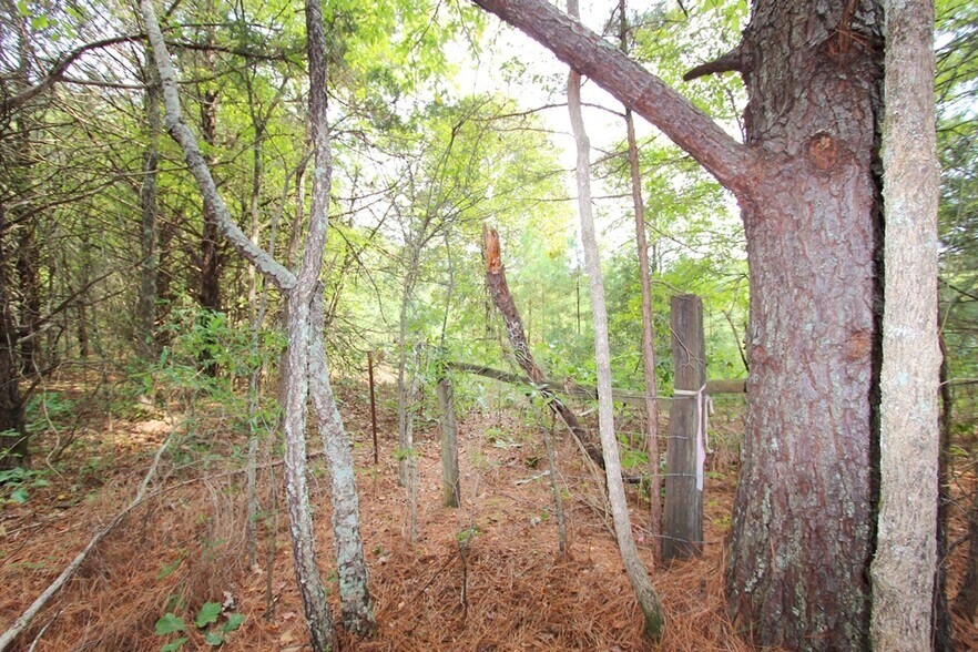 More Photos Of 226 Blythe rd, Greenbrier Land For Sale