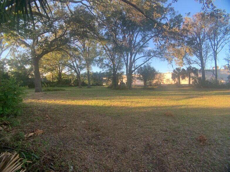 More Photos Of 105-109 W Prince St, Tampa Land For Sale