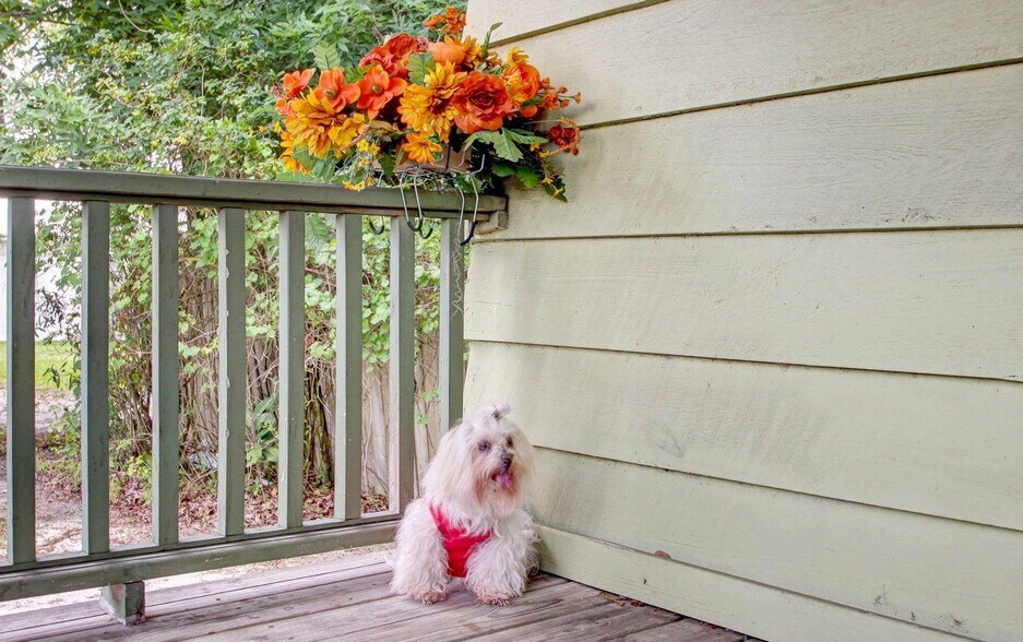 More Photos Of 211 S US Highway 17, East Palatka Apartments For Sale