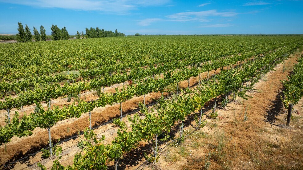 More Photos Of 6470 County Road 99, Dunnigan Land For Sale