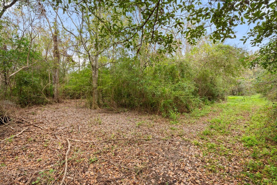More Photos Of Conception Street Road, Mobile Land For Sale