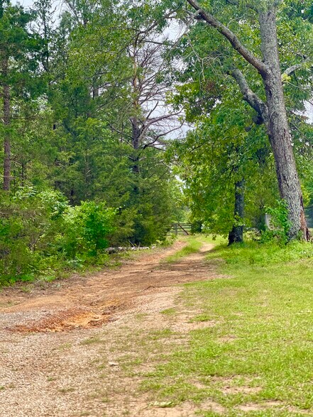Primary Photo Of TBD County Road 336, Tyler Land For Sale